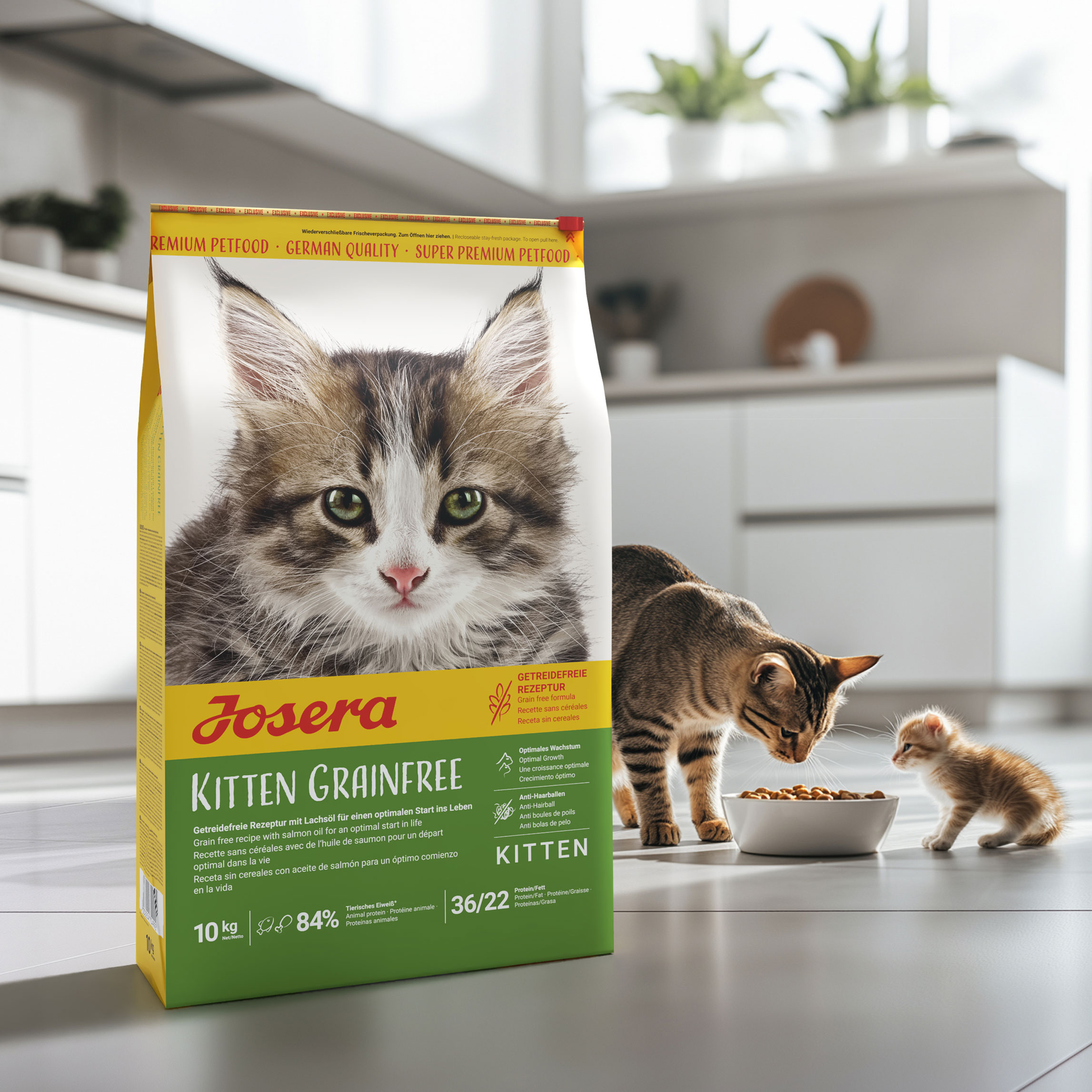 Referenz Josera petfood - Vordergrund Sack Katzenfutter von Josera. Hintergrund eine erwachsene Katze und ein Kitten am fressen in einer Küche.